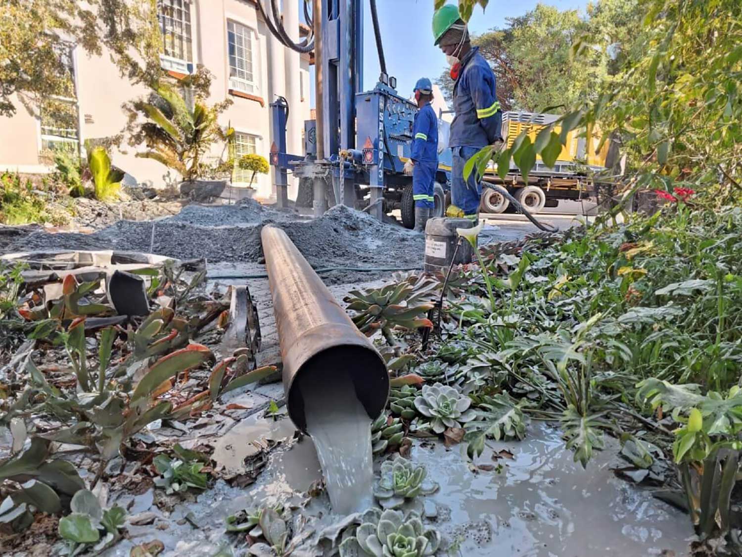 imgi_19_bluedot1_res